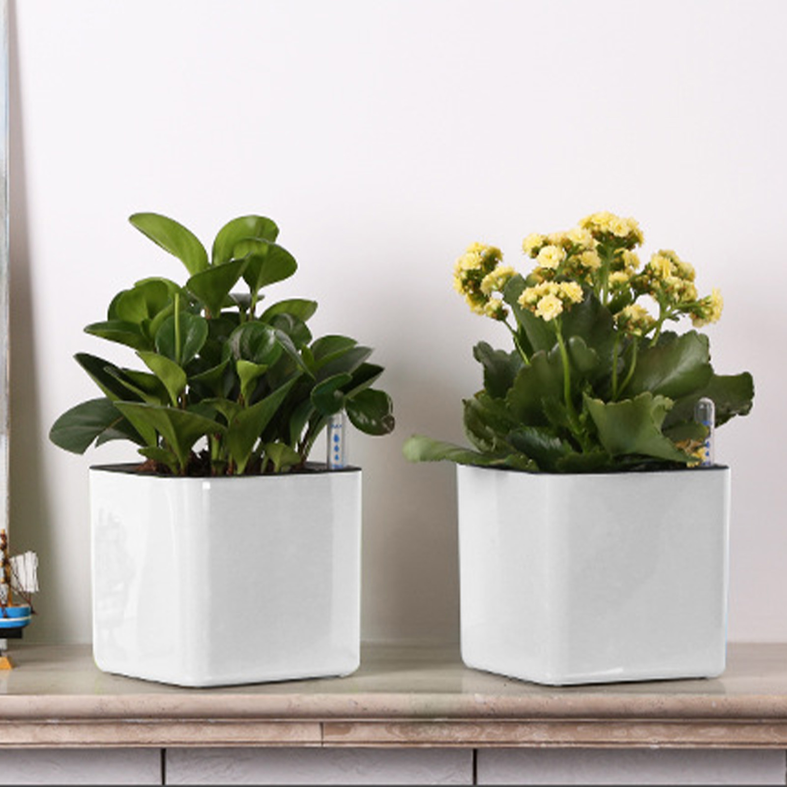 Pot auto-arrosant avec indicat - Self Watering Insert avis et prix