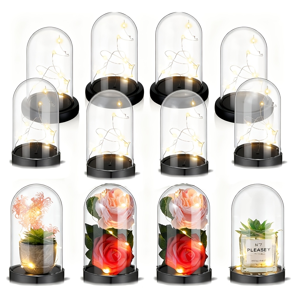Bocaux transparents en plastiq - Plastic Dome Clear avis et prix