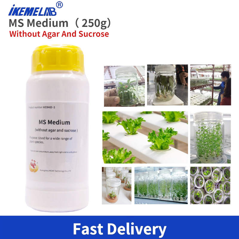 IKEME Lab MS Medium 250g Sans  - Agar Tissue Culture avis et prix