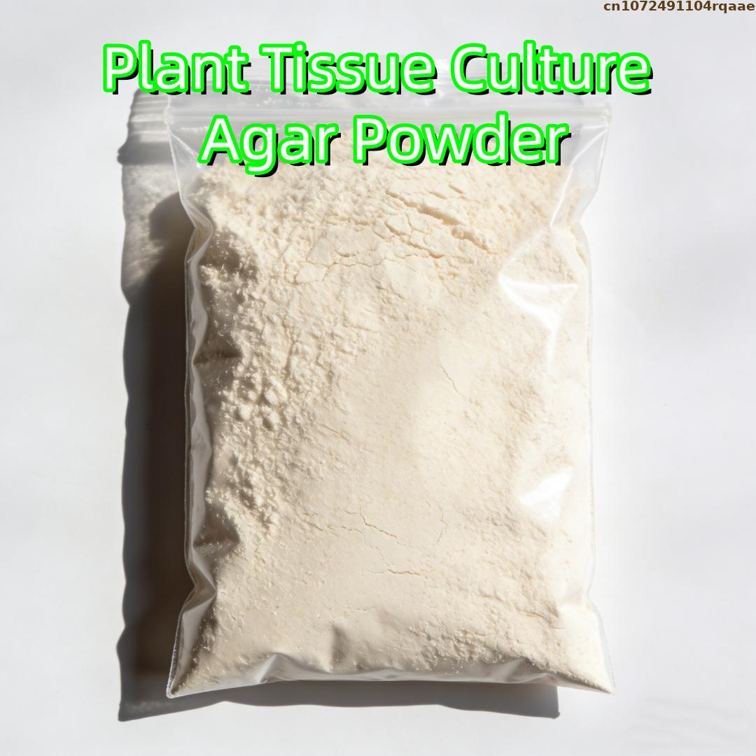 Poudre d'agar de qualité supér - Agar Tissue Culture avis et prix