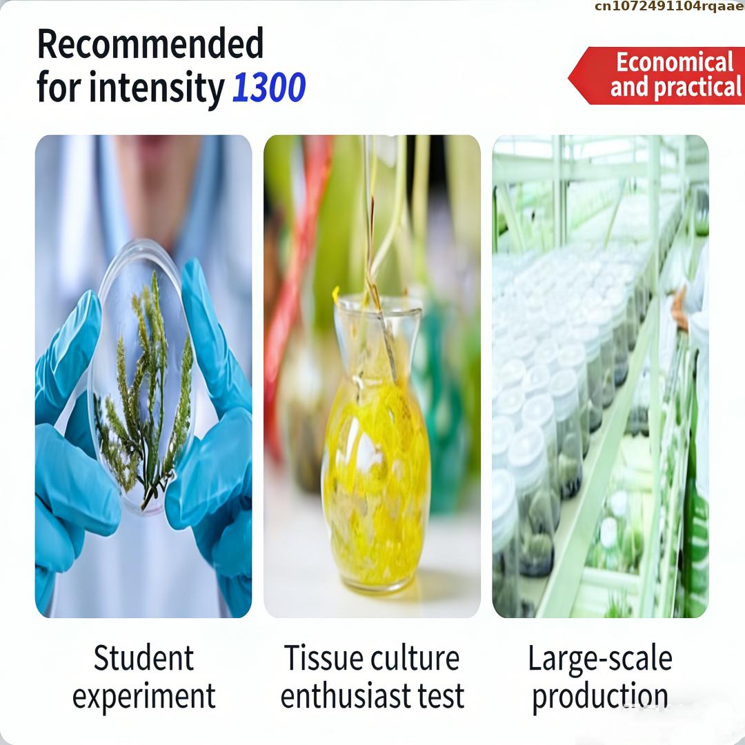 Poudre d'agar de qualité supér - Agar Tissue Culture avis et prix