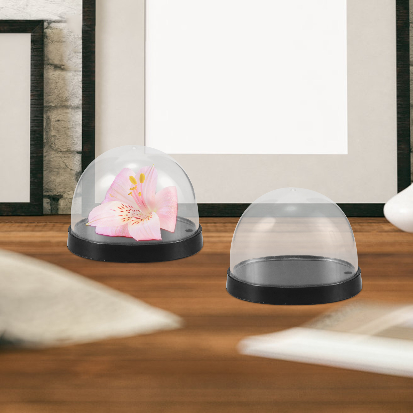 5 Ensembles de Dômes Cloche en - Plastic Dome Clear avis et prix