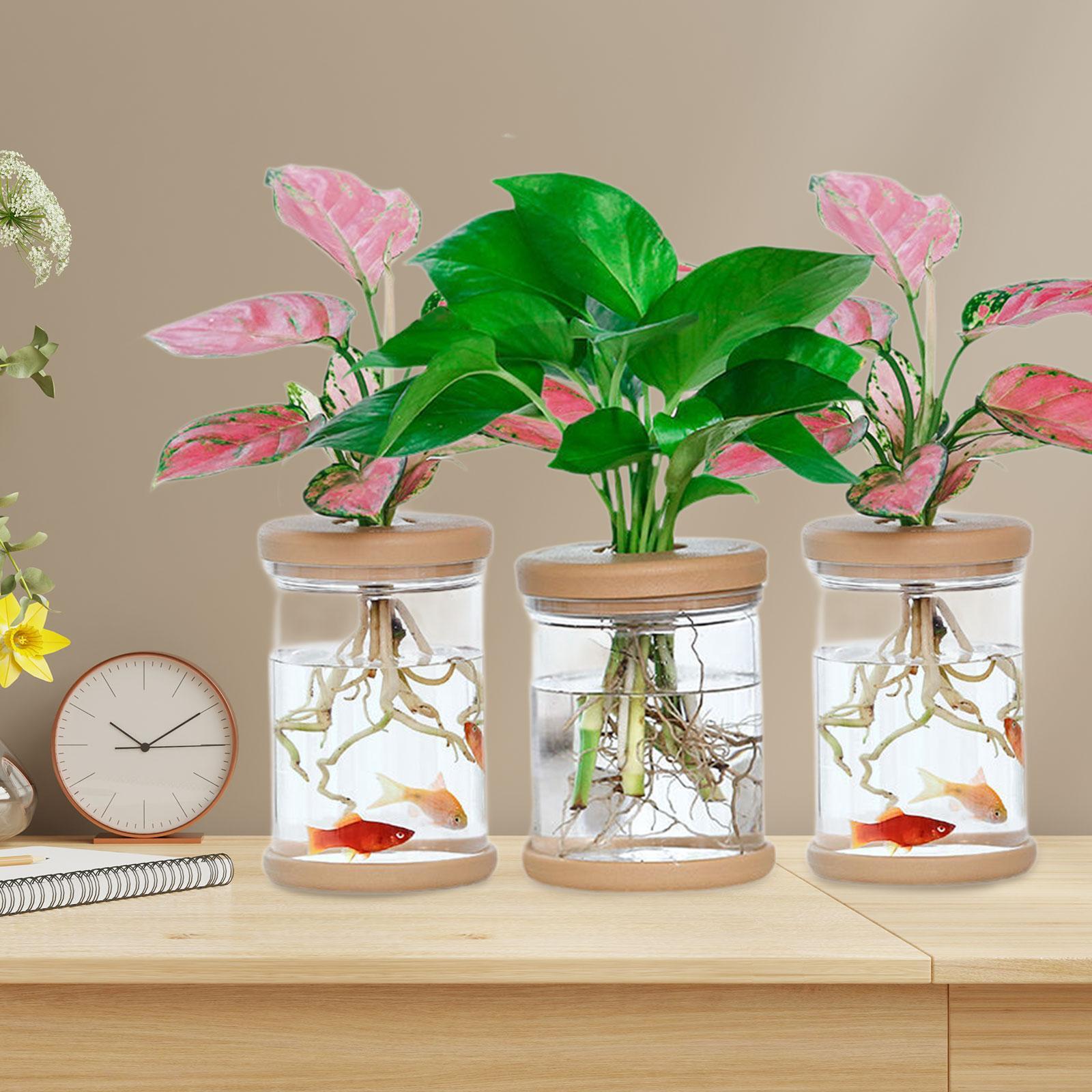 Vases à fleurs hydroponiques,  - Propagation Station Vase avis et prix