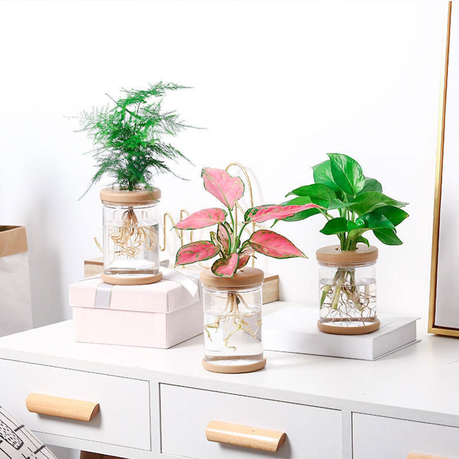 Vases à fleurs hydroponiques,  - Propagation Station Vase avis et prix