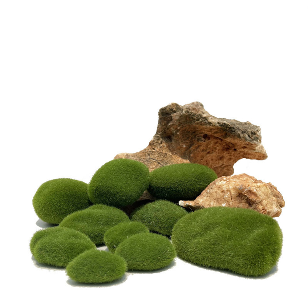 Faux mousse artificielle roche - Sphagnum Moss Dry avis et prix