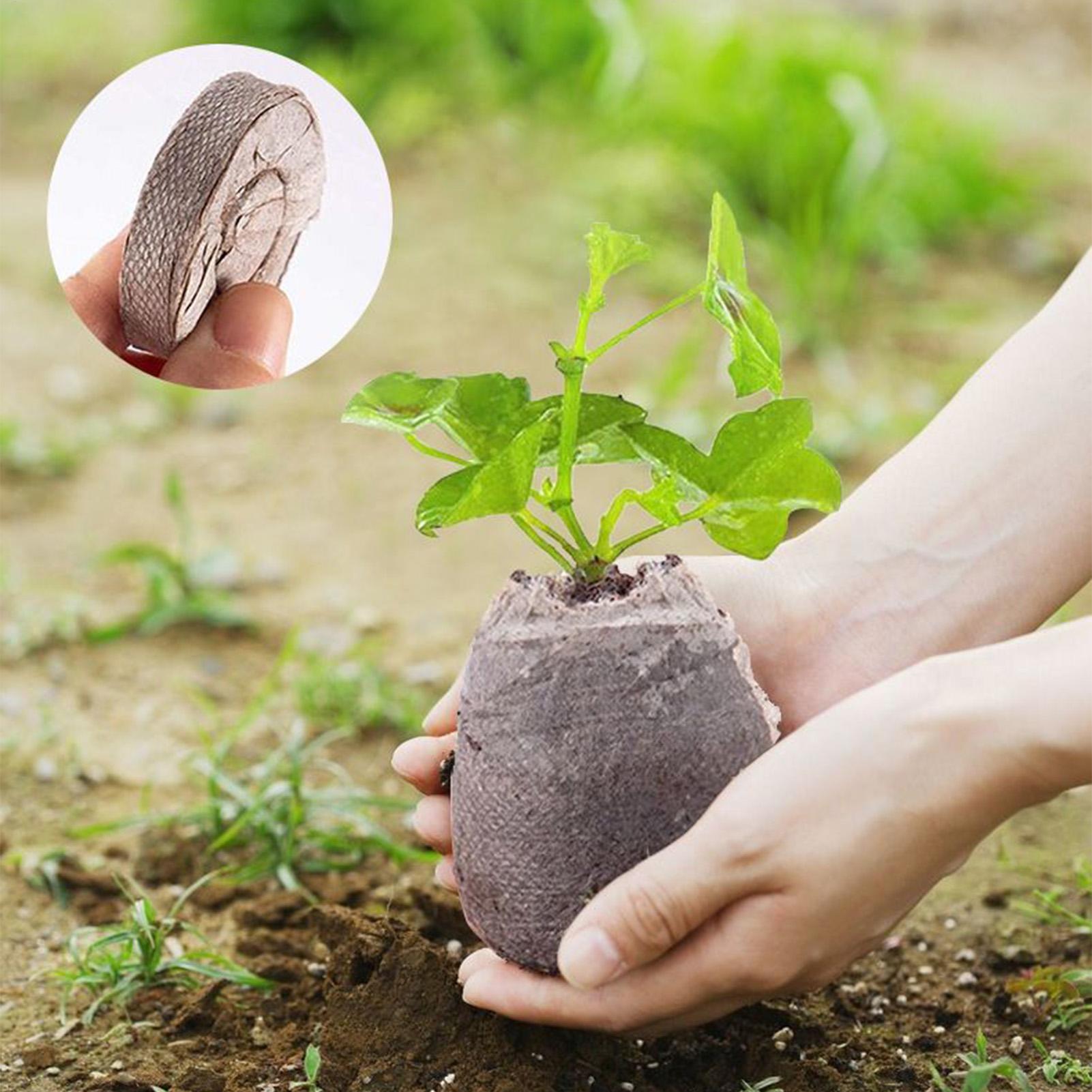 100 plateaux de mélange de ter - Peat Pellet Tray avis et prix