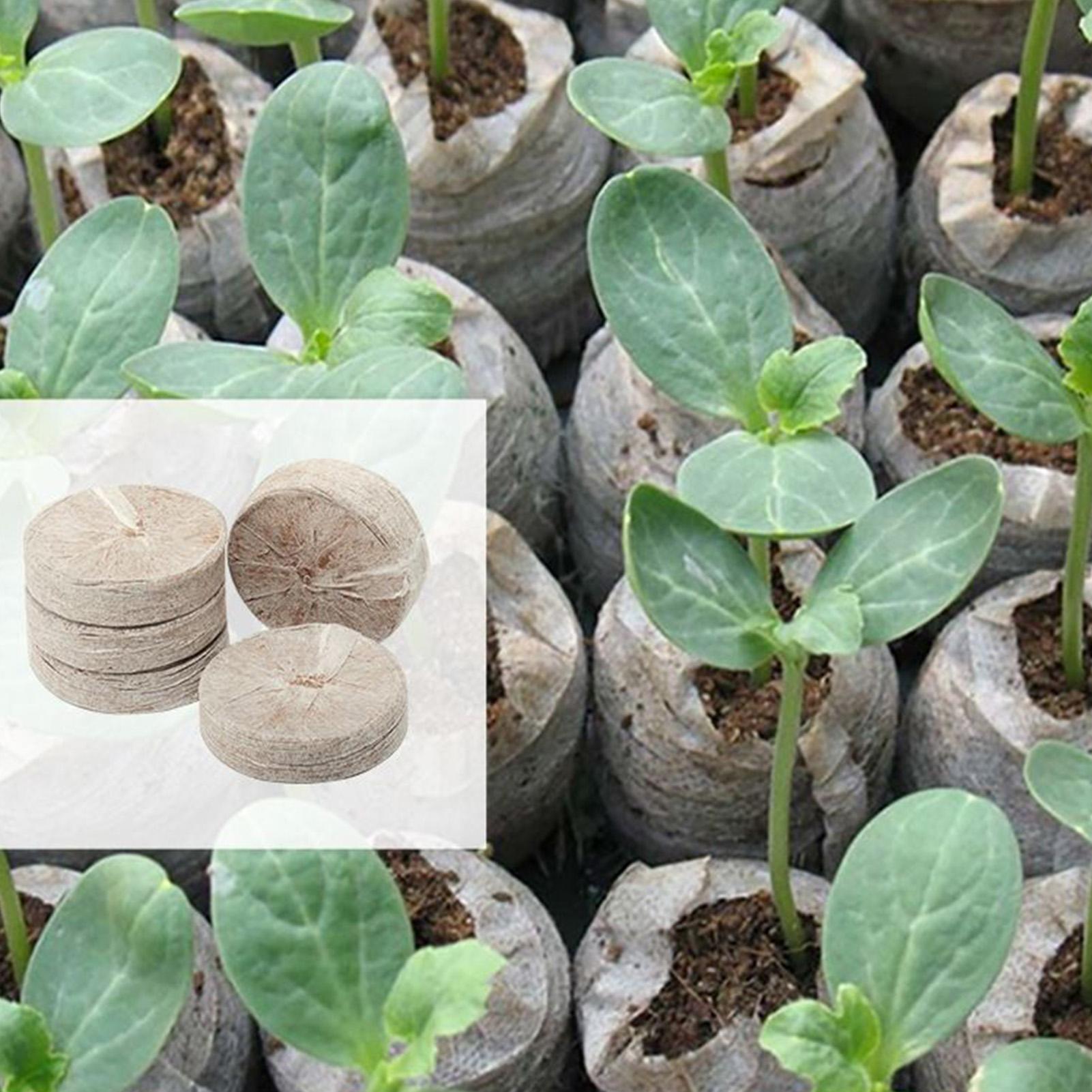 100 plateaux de mélange de ter - Peat Pellet Tray avis et prix