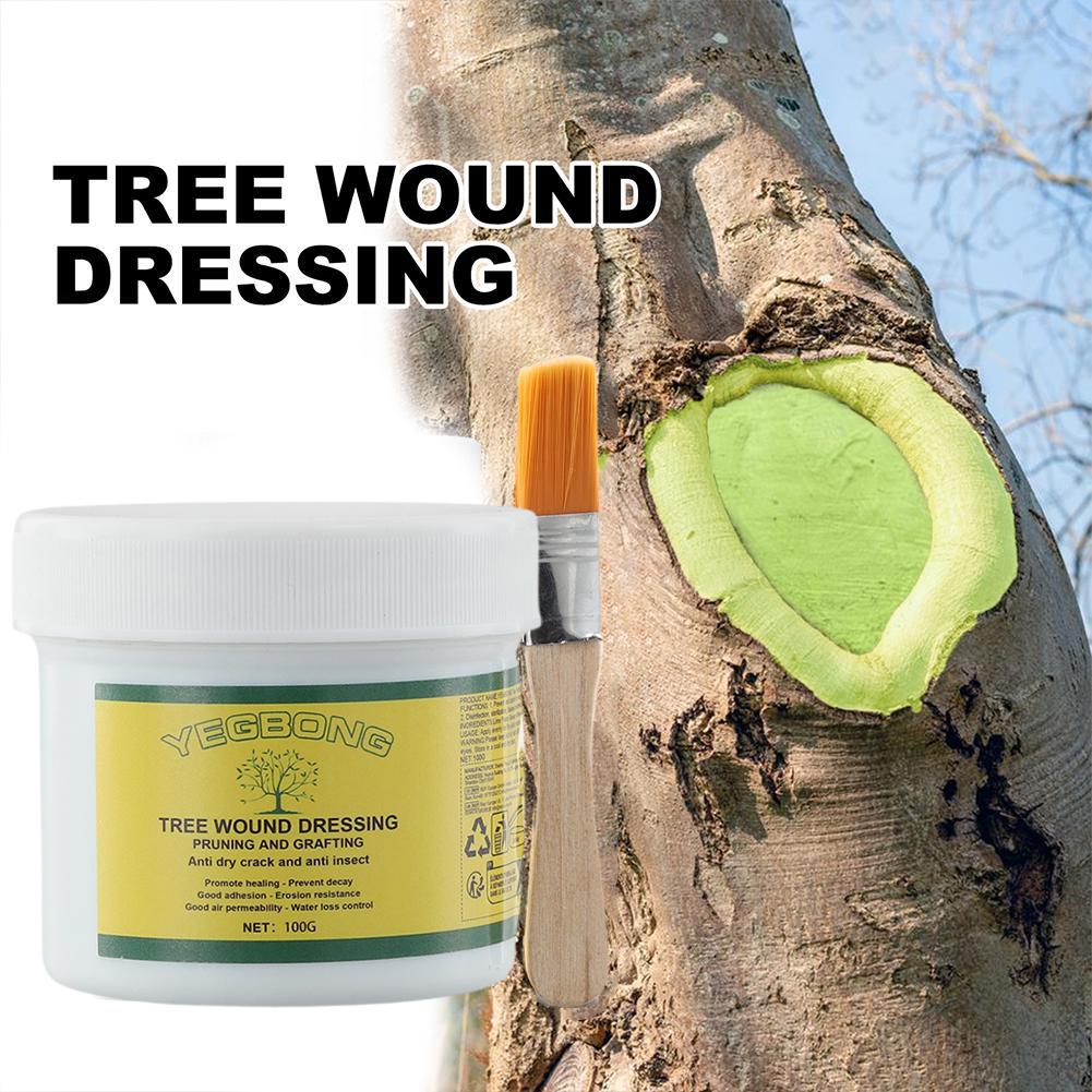 Pâte de greffage d'arbre 100g, - Rooting Hormone Powder avis et prix