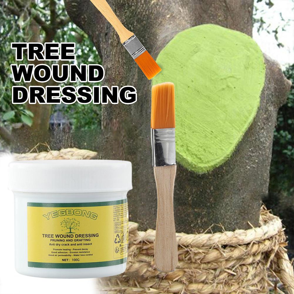 Pâte de greffage d'arbre 100g, - Rooting Hormone Powder avis et prix