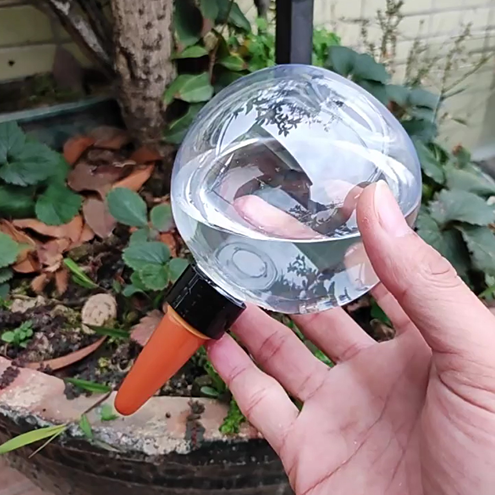 Globes d'arrosage automatique  - Self Watering Insert avis et prix