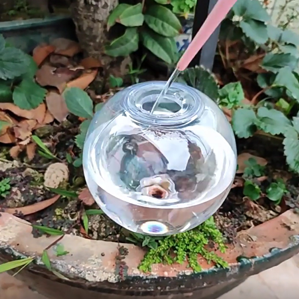 Globes d'arrosage automatique  - Self Watering Insert avis et prix
