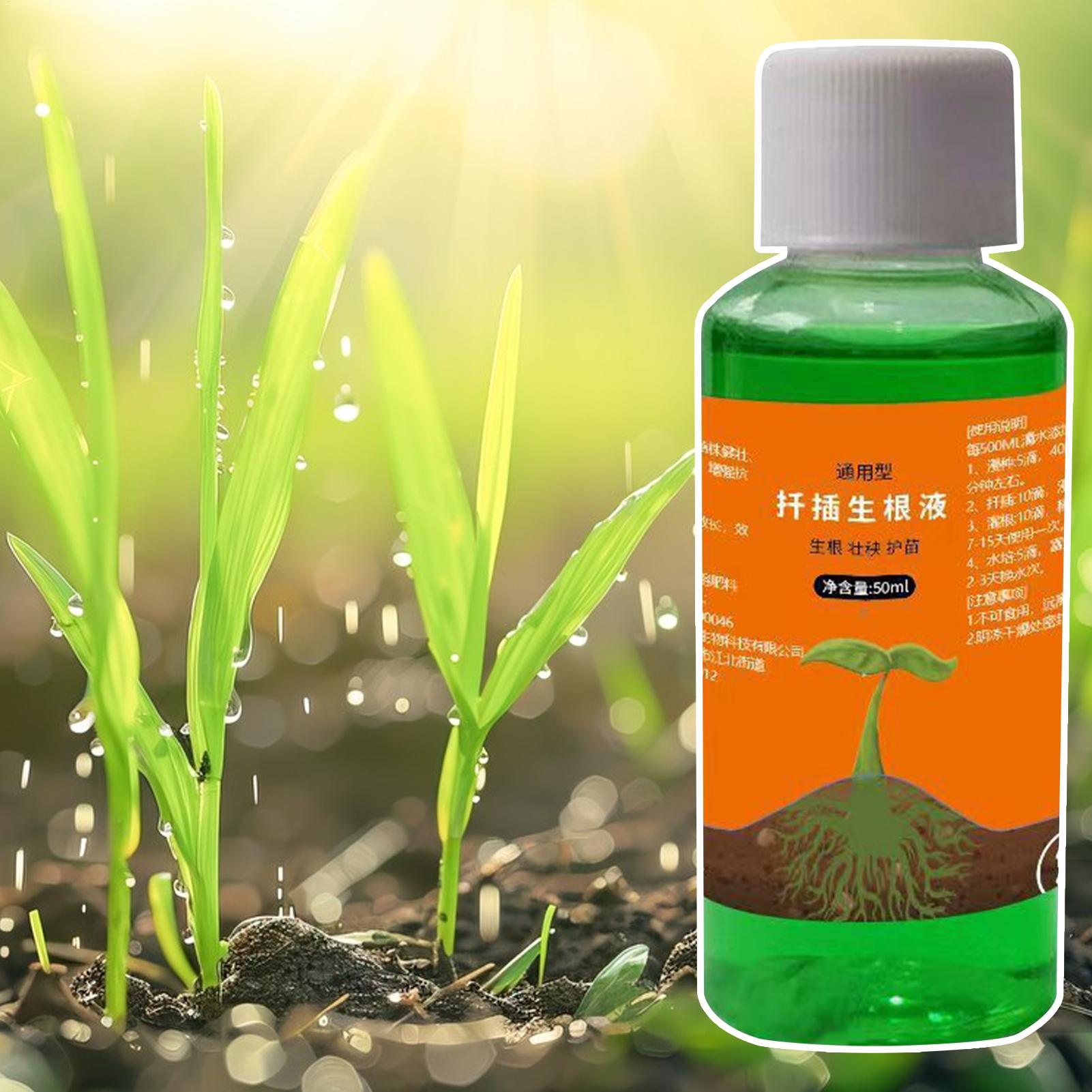 Stimulateur de racines haute p - Root Stimulator Liquid avis et prix