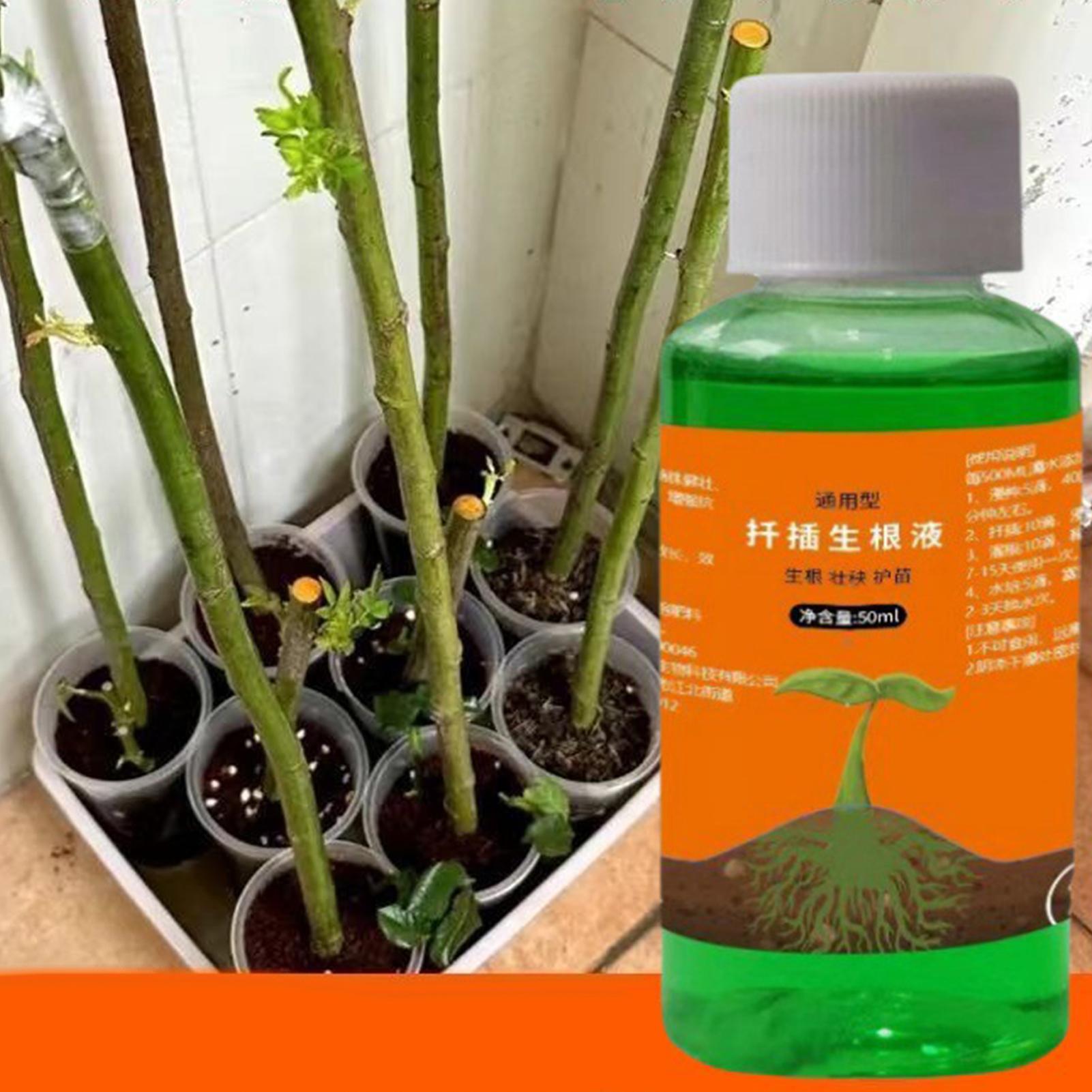 Stimulateur de racines haute p - Root Stimulator Liquid avis et prix