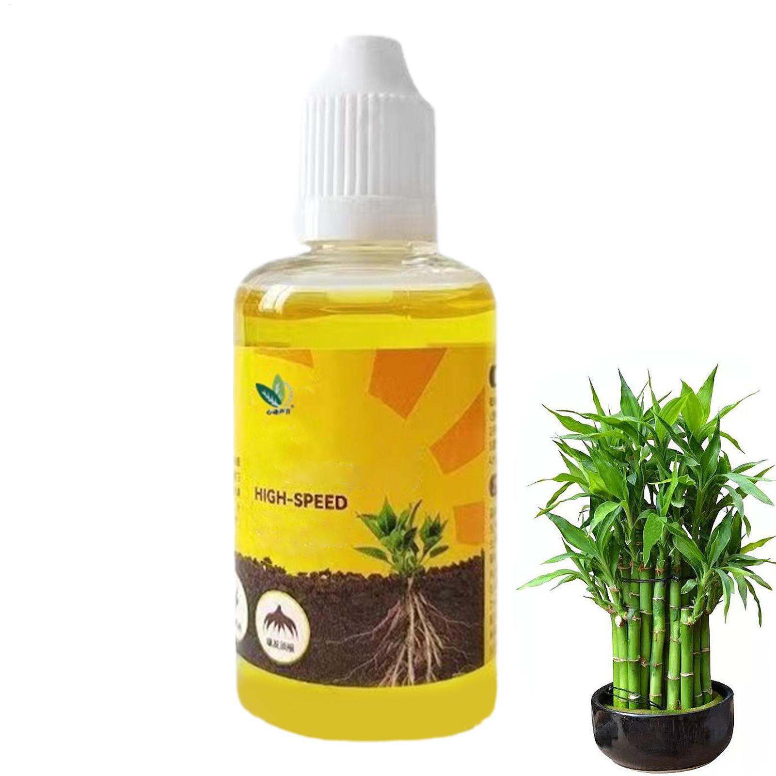 Liquide de résurrection végéta - Root Stimulator Liquid avis et prix
