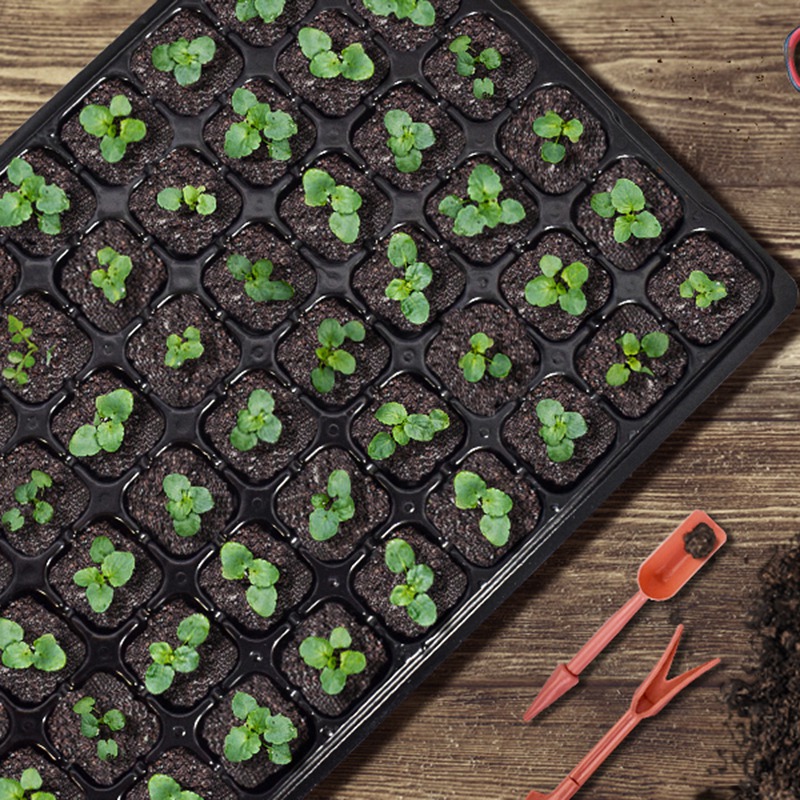 ABGH-10 Pack cadres Starter es - Propagation Tray 72 avis et prix