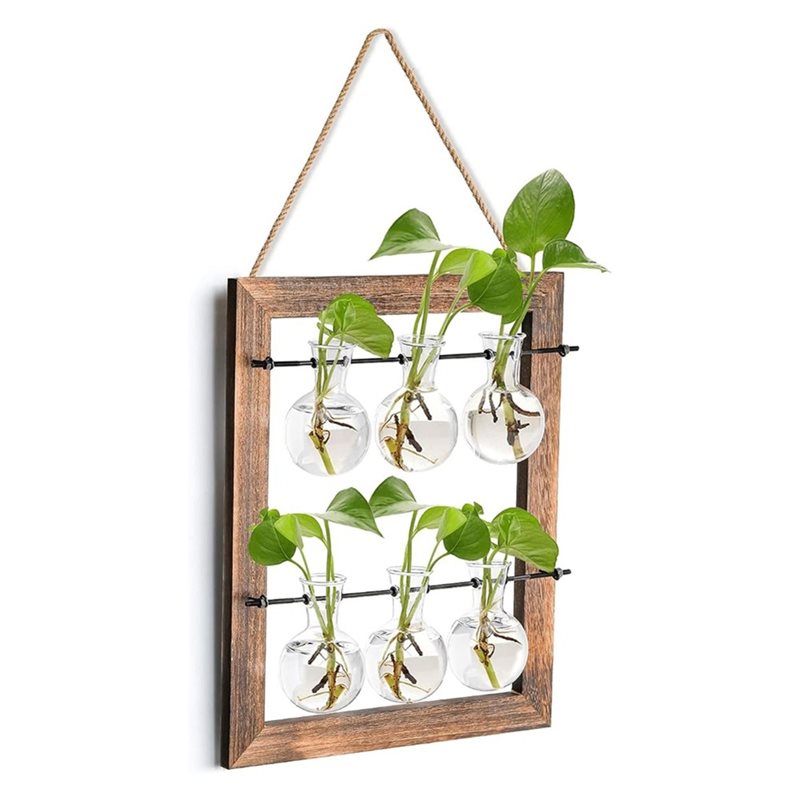 ABLN - Vase mural pour plantes - Propagation Station Vase avis et prix
