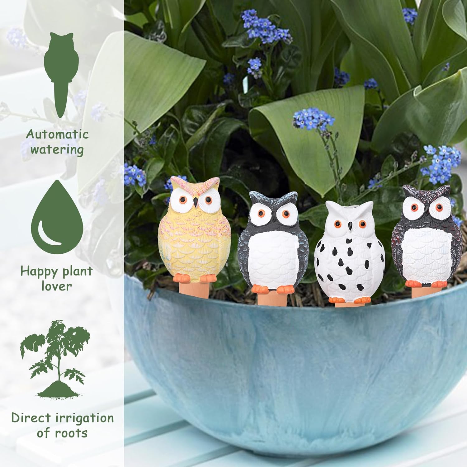 Globes d'arrosage automatique  - Self Watering Insert avis et prix