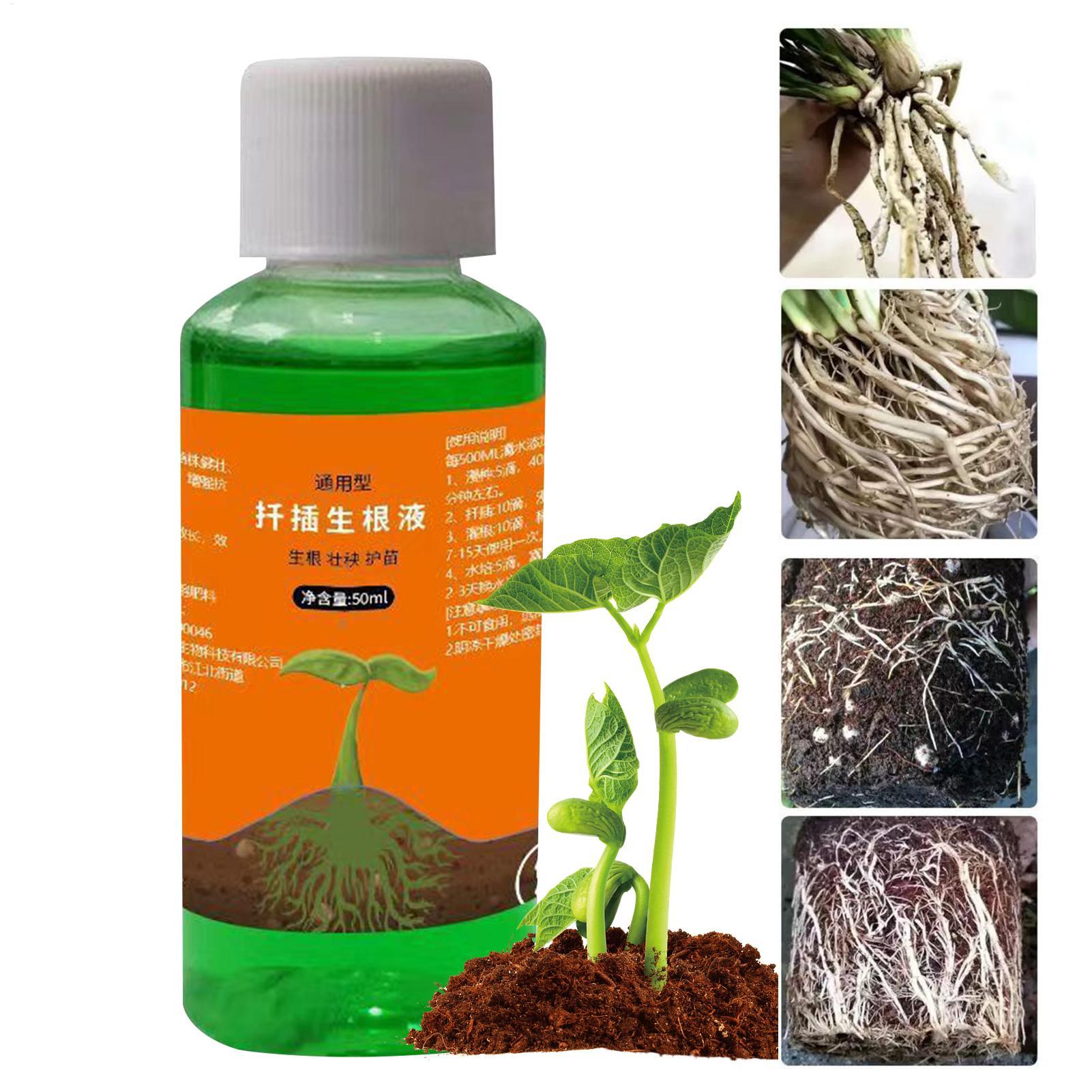 Solution nutritive pour repiqu - Root Stimulator Liquid avis et prix