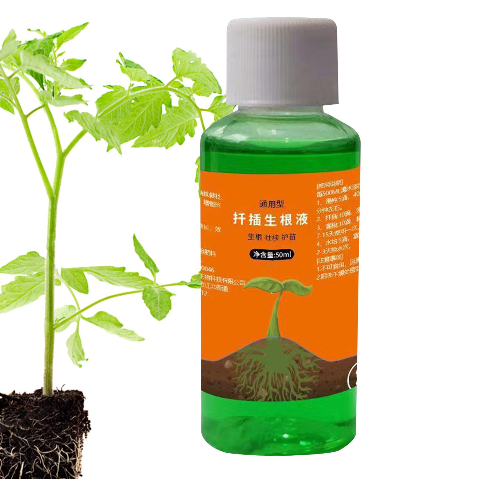 Solution nutritive pour repiqu - Root Stimulator Liquid avis et prix