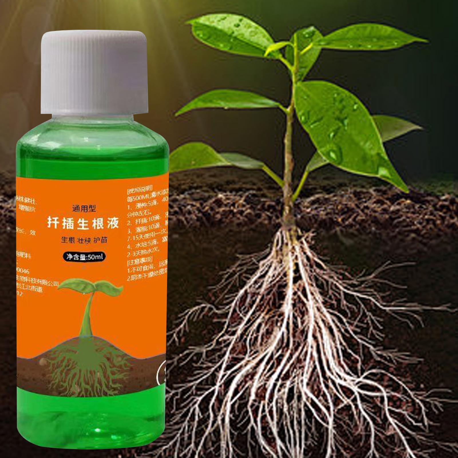 Solution nutritive pour repiqu - Root Stimulator Liquid avis et prix