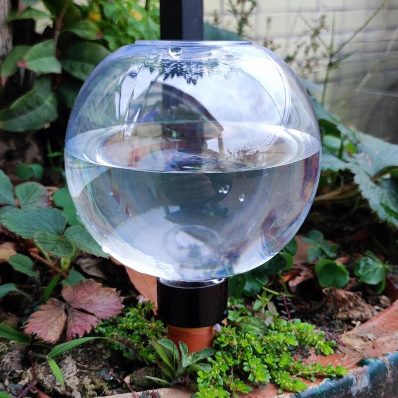 Ampoules d'arrosage automatiqu - Self Watering Insert avis et prix