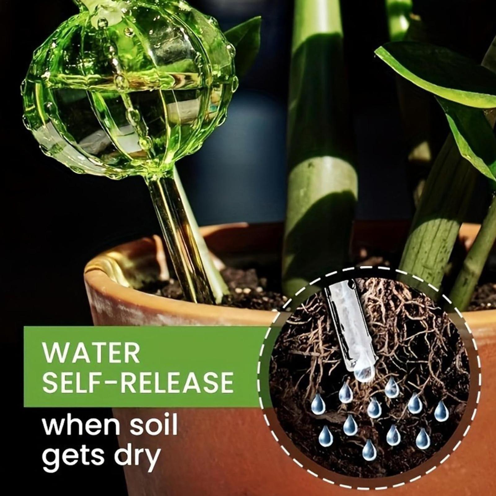 Piquets d'arrosage pour plante - Self Watering Insert avis et prix