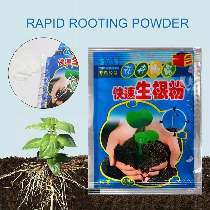 Poudre d'enracinement rapide p - Rooting Hormone Powder avis et prix