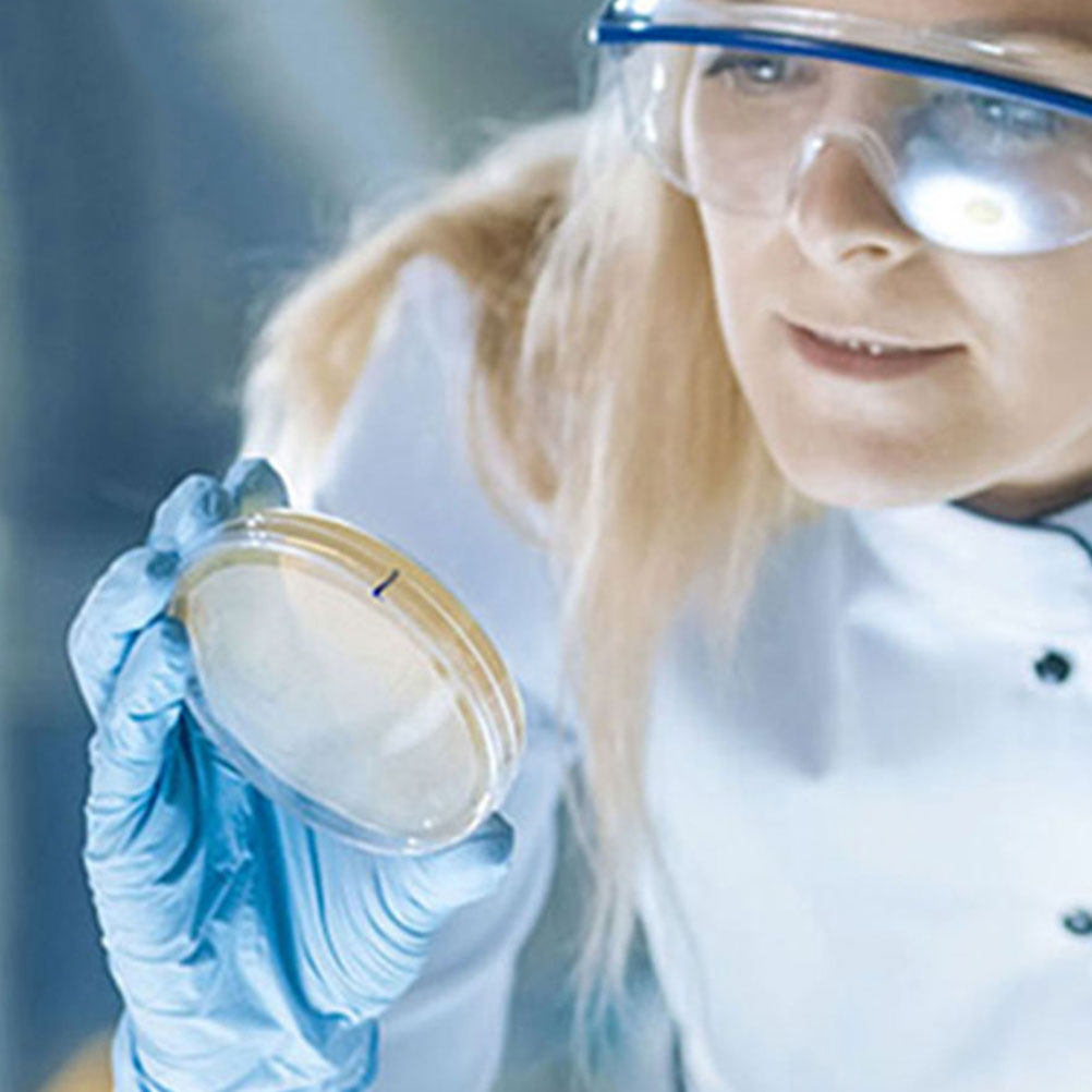Plaques de Petri en plastique  - Agar Tissue Culture avis et prix