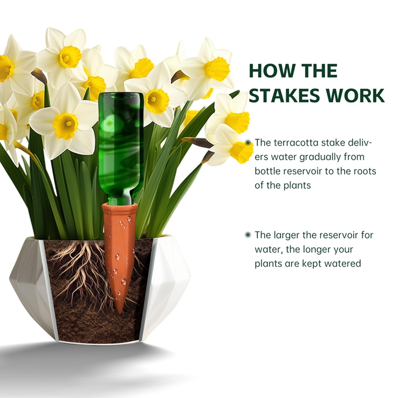Pointes d'arrosage en terre cu - Self Watering Insert avis et prix