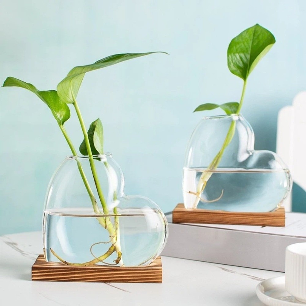 Vase en verre hydroponique tra - Propagation Station Vase avis et prix