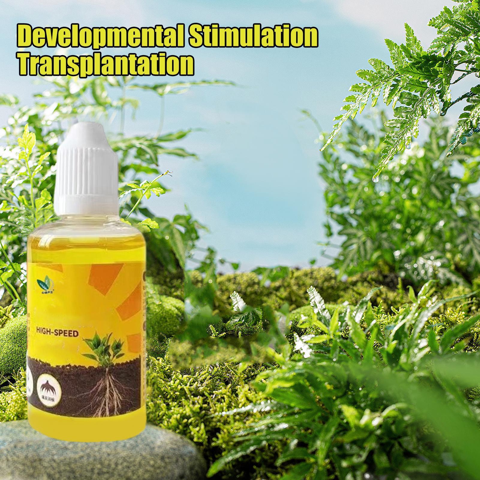 Solution nutritive pour plante - Root Stimulator Liquid avis et prix