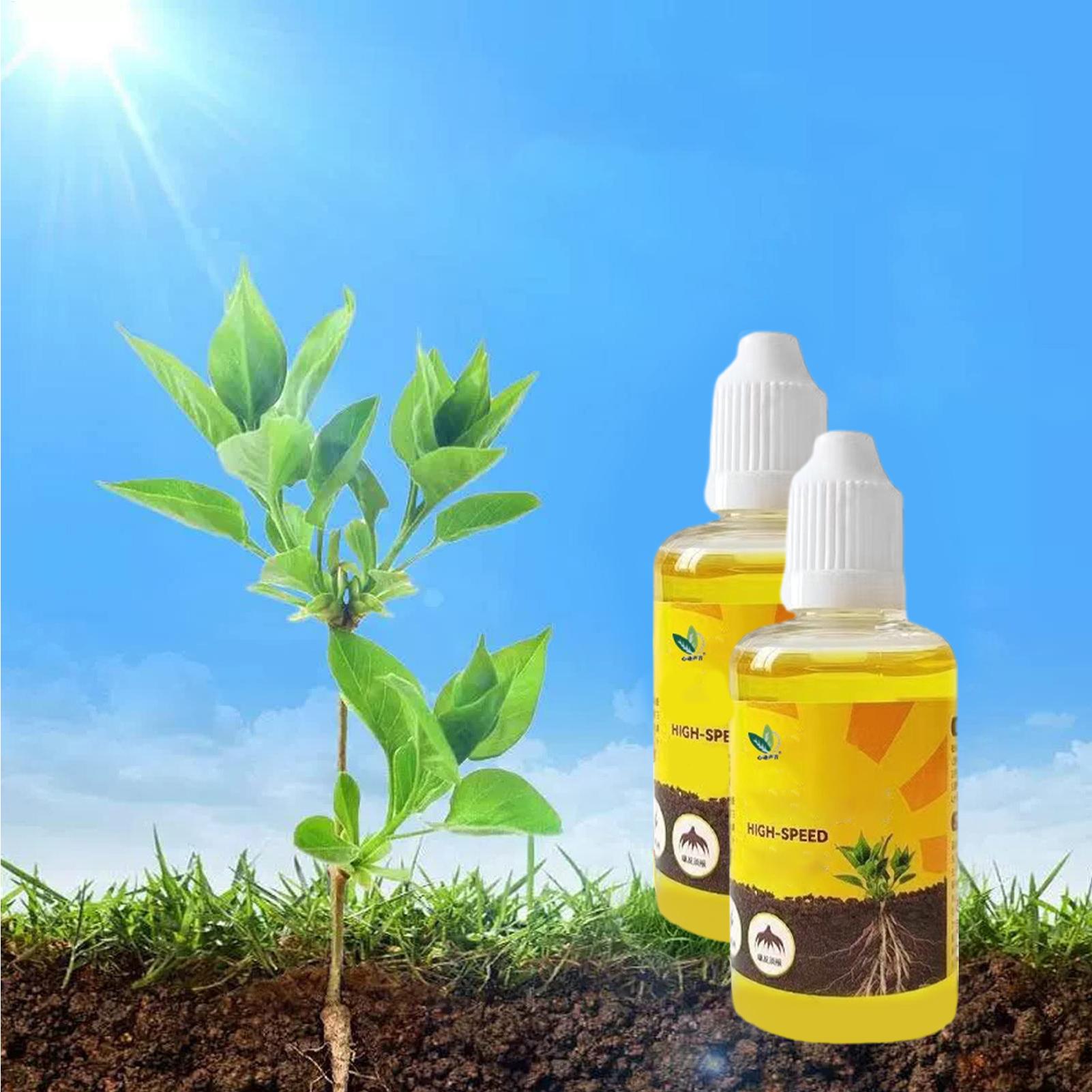 Solution nutritive pour plante - Root Stimulator Liquid avis et prix