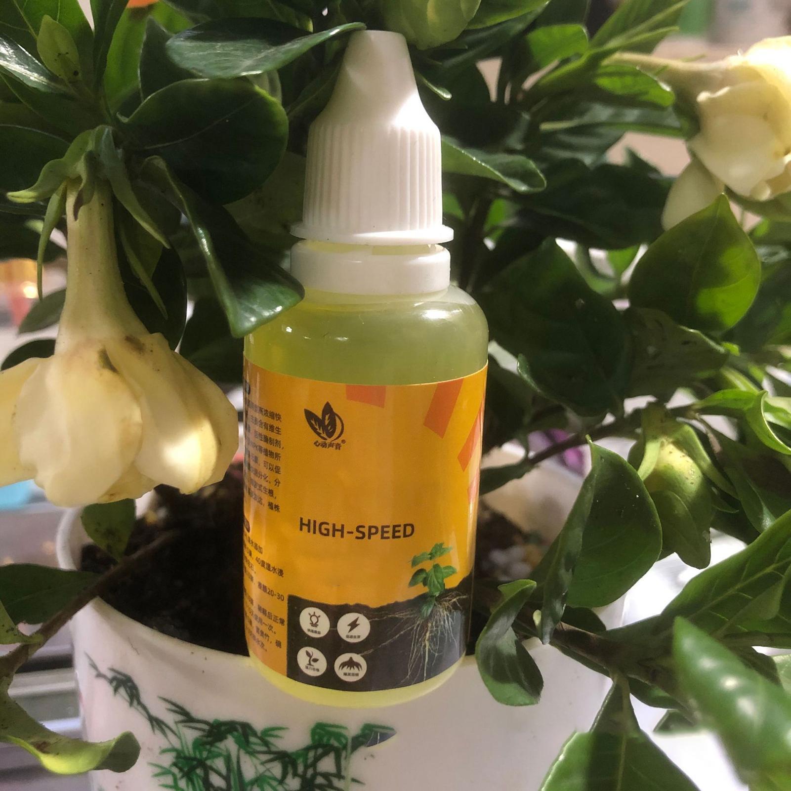 Solution nutritive pour plante - Root Stimulator Liquid avis et prix