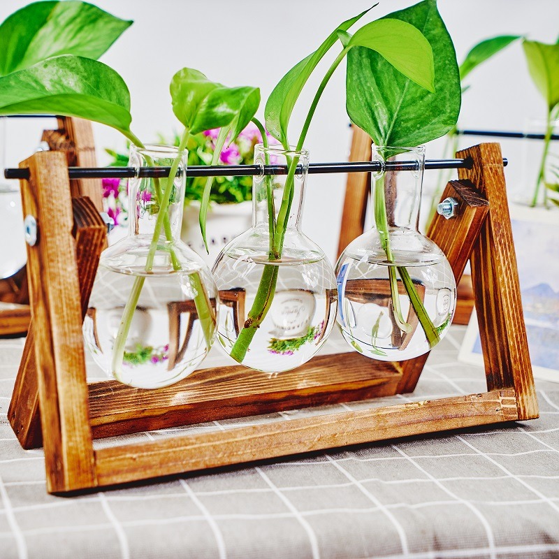 Brittop-user inière en verre p - Propagation Station Vase avis et prix