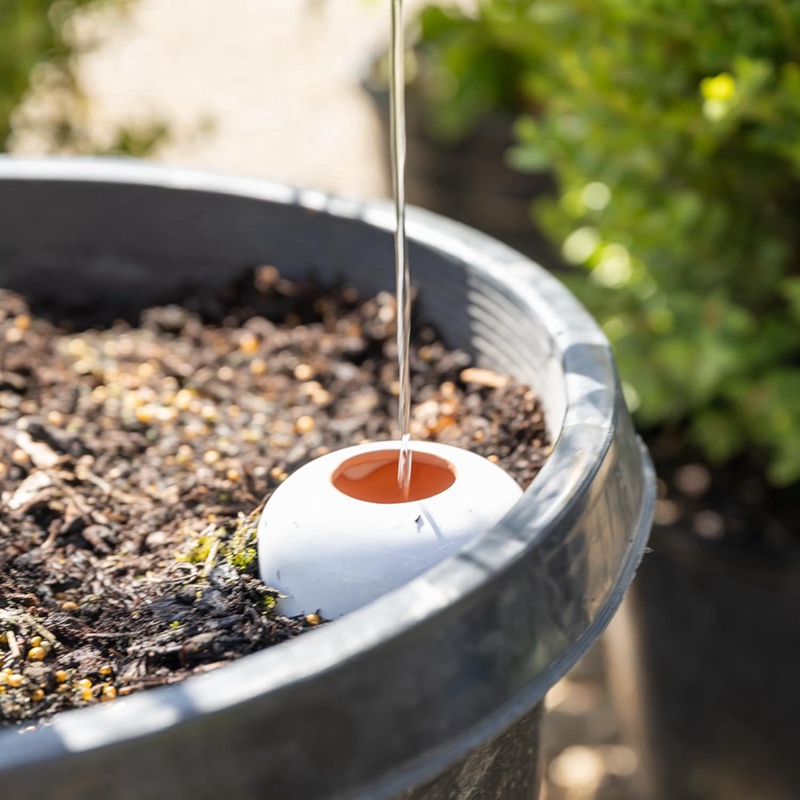 Boule d'arrosage pour plantes, - Self Watering Insert avis et prix